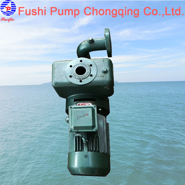 CWX Marine Vertical Self-priming Domestic Water Pump